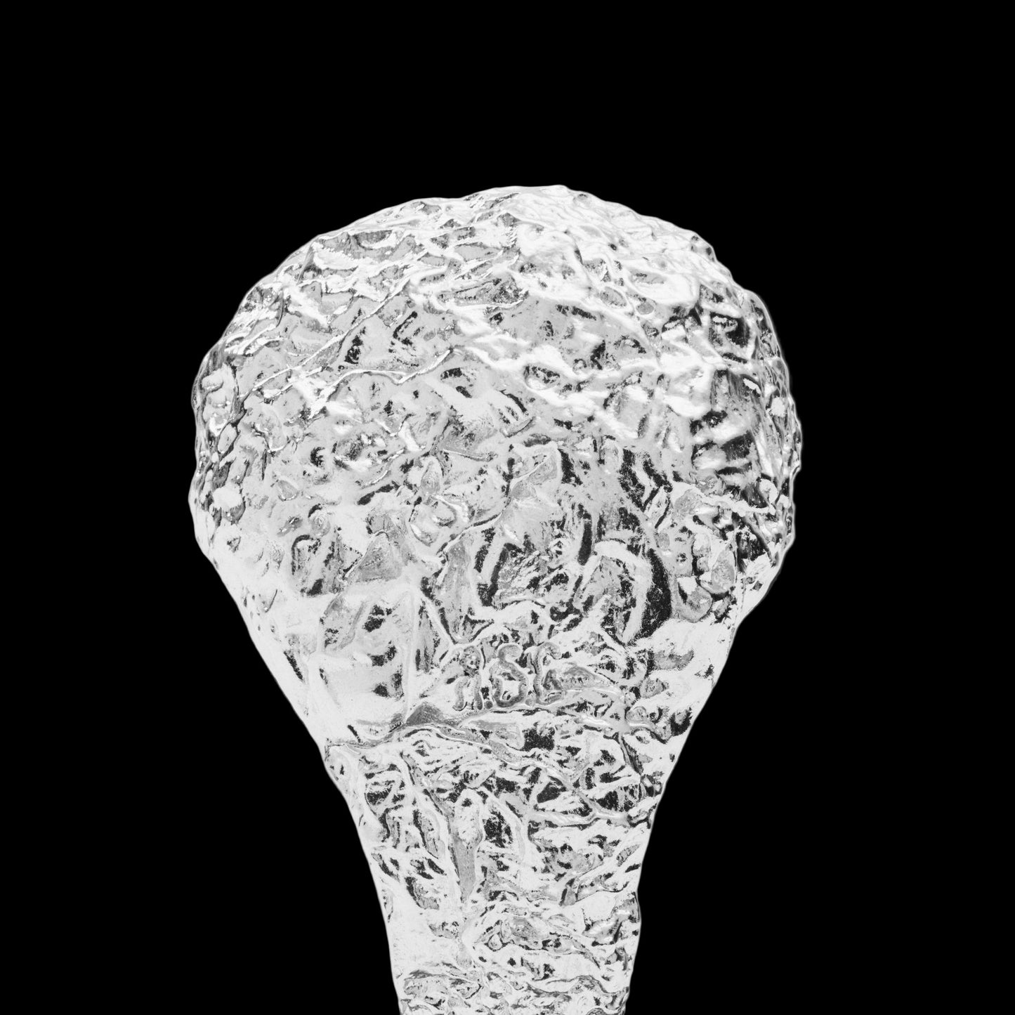 Championship Ring Silver